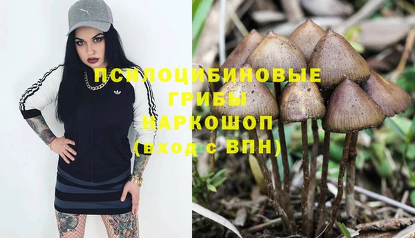 амф Переславль-Залесский