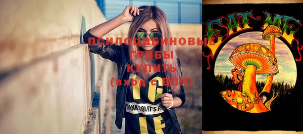 apvp Покровск