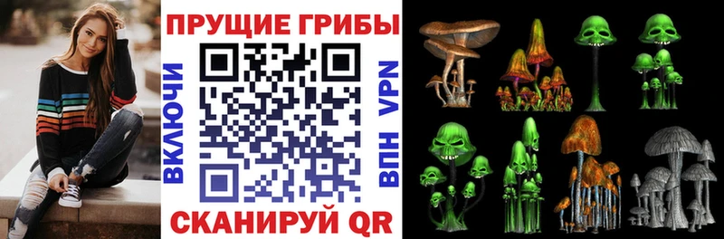 гидра ссылки  Светогорск  Галлюциногенные грибы Magic Shrooms 