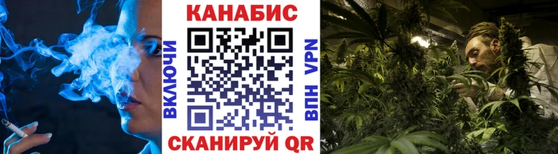 Конопля гибрид Светогорск