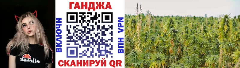 Марихуана OG Kush  купить наркоту  Светогорск 